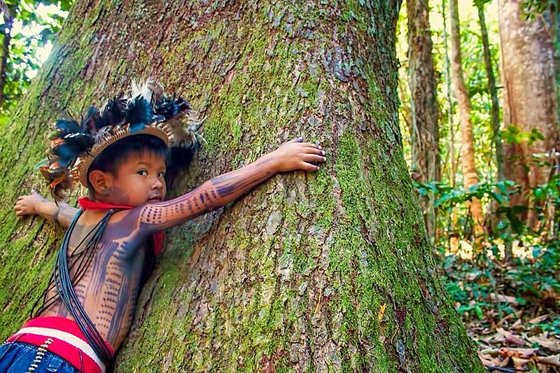 Imagem de criança indígena abraçando árvore